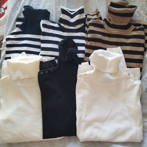 The limited turtle necks